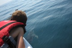 07.30.10-fishing-029