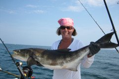 COBIA