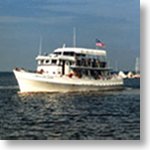 Ferry_-_HighlightFront_-_Shadow_13